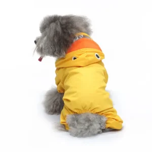 Raincoat